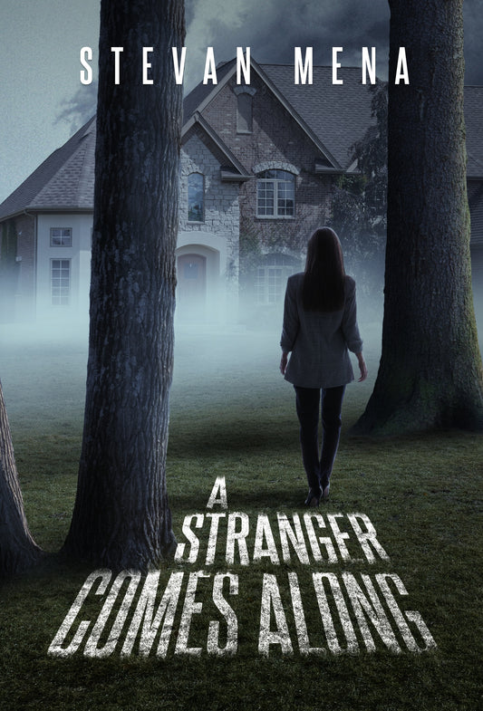 A Stranger Comes Along - A Novel